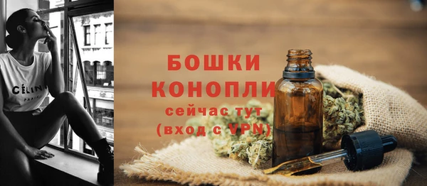 мяу мяу мука Горно-Алтайск