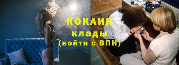 мяу мяу мука Горно-Алтайск