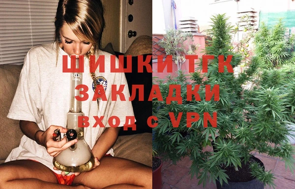 мяу мяу мука Горно-Алтайск